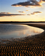 Low Tide